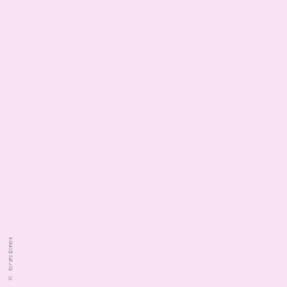 Tulpen roze paars blauw wit 2