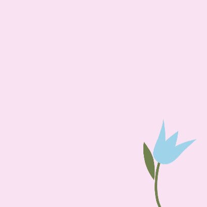 Tulpen roze paars blauw wit 3