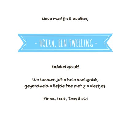 Tweeling 2 jongens muisjes blauw 3