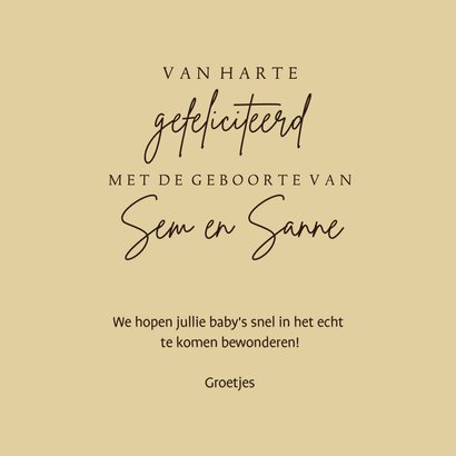 Tweeling felicitatie met teddyberen 3