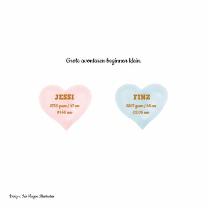 Tweeling geboortekaartje jongen meisje met vos en kleintjes 2