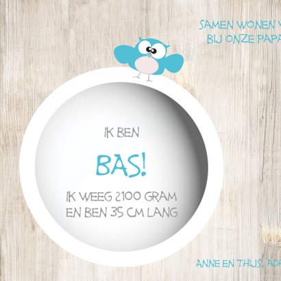 Tweeling geboortekaartje jongens van Mo Cards met uiltjes 2