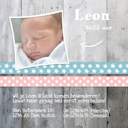 Tweeling Lief Hout Jongen Meisje 2