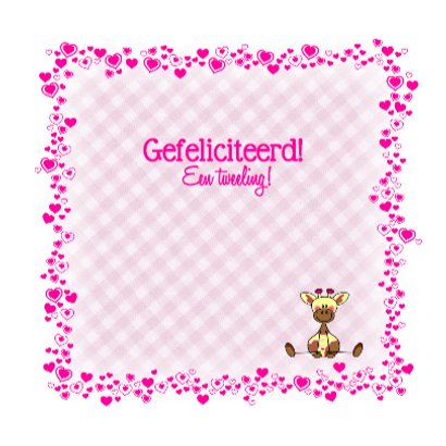 Tweeling meisjes Lieve GIRAFFES 3