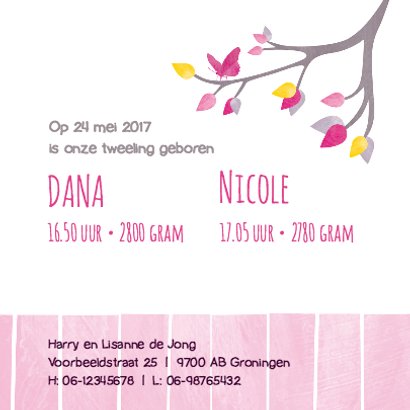 Tweeling meisjes uiltjes in boom 3