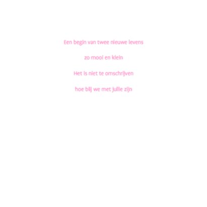 Tweeling Two Hearts Roze 2