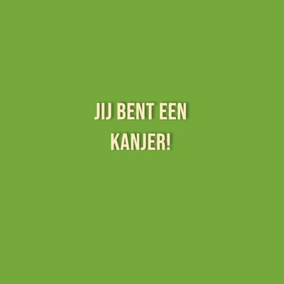 Typisch Hollands - koe 3