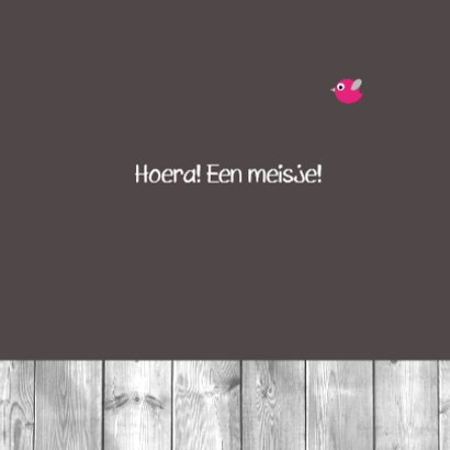 Uil, ballon en vogeltjes 3