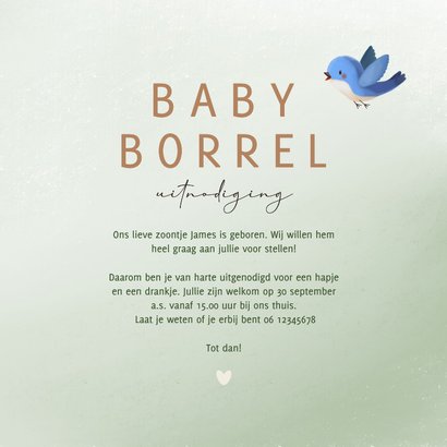 Uitnodiging babyborrel vosje hartjes vogel 3
