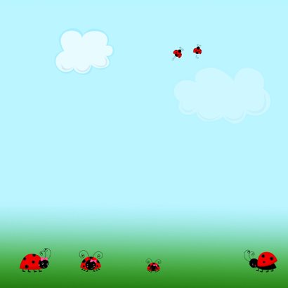 Uitnodiging bloemen-beestjes 3