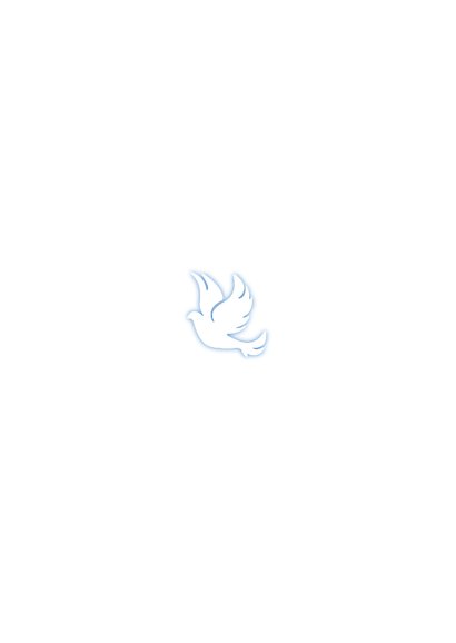 Uitnodiging doopsel foto en blauw duifje Achterkant
