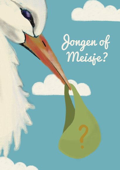 Uitnodiging gender reveal party met illustratie van ooievaar 2