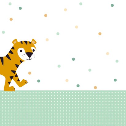 Uitnodiging kinderfeestje lieve tijger 2