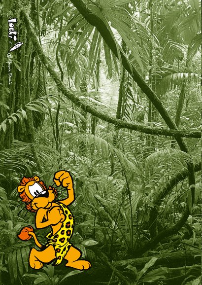 Uitnodiging Loeki Junglefeest - A 2