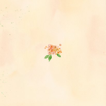 Uitnodiging rozen in pastel met foto Achterkant