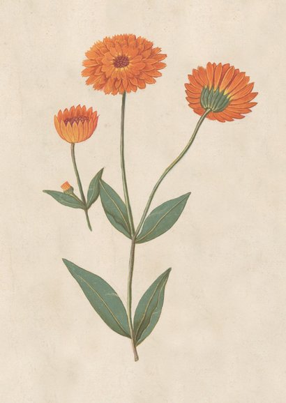 Uitnodiging voor tuinfeest met vintage bloemen 2