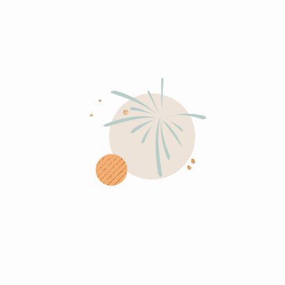 Uitnodigingen Feest - Let's party met bollen en vuurwerk Achterkant