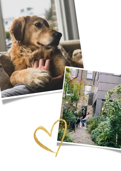 Umzugskarte Fotocollage und goldenes Herz 2