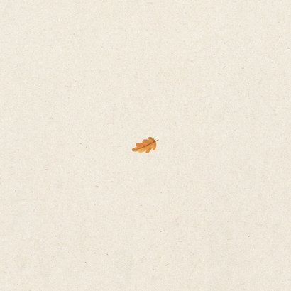 Unisex geboortekaartje herfst takje kraft papier hartje Achterkant