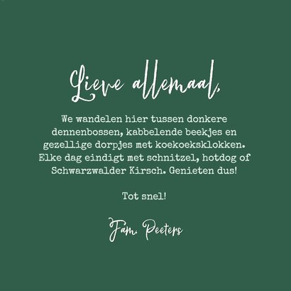 Vakantiekaart Duitsland Zwarte Woud foto dennentakken 3