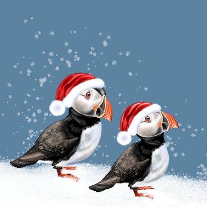 Vakantiekaart kerst op IJsland 2