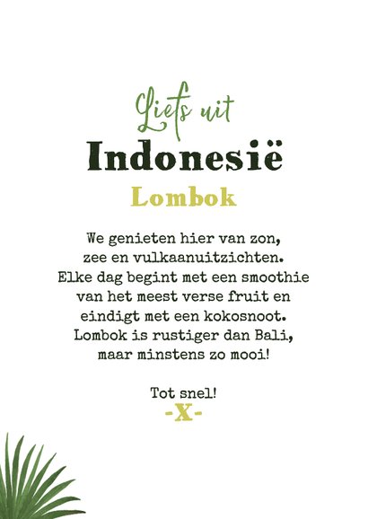 Vakantiekaart liefs uit Indonesië lombok foto's palmbladeren 3