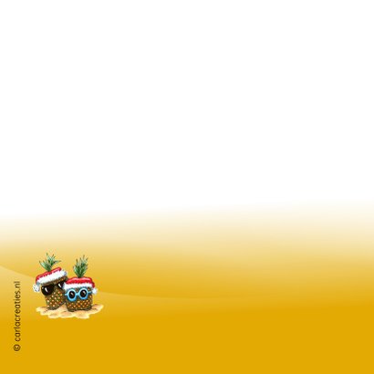 Vakantiekaarten ananassen met kerstmuts 2