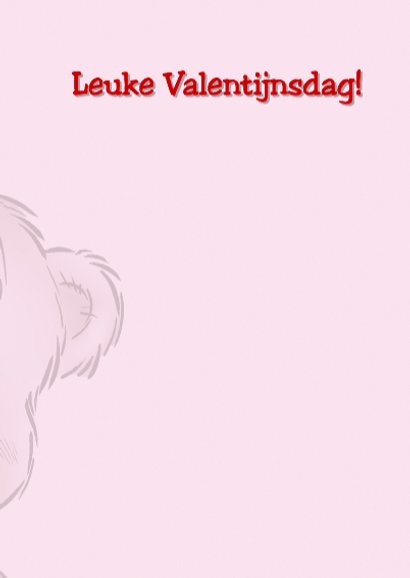Valentijn 8 beer met hart op rug 3