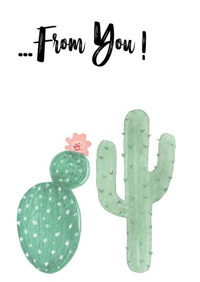 Valentijn. Cactus , I need a Hug 2