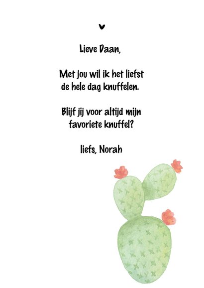 Valentijn. Cactus , I need a Hug 3
