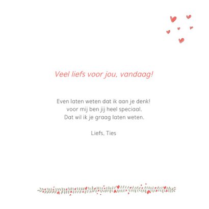 Valentijn - twee lama's happy valentine 3