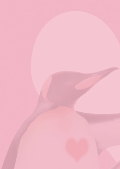 valentijn1 pinguins met groot hart 2
