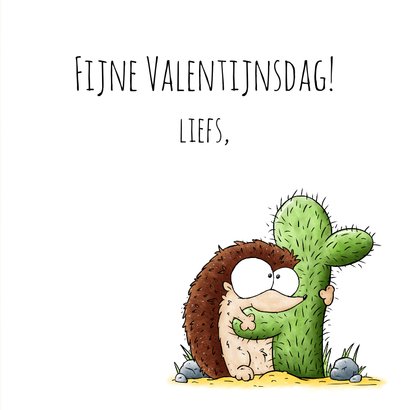 Valentijnskaart egel die een cactus knuffelt 3