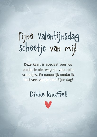 Valentijnskaart fijne Valentijnsdag scheetje van mij 3