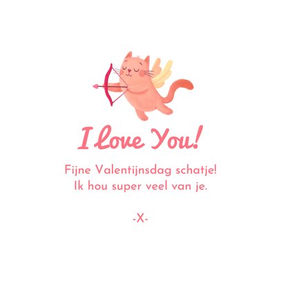 Valentijnskaart fotos liefde roze kat hartjes fotokaders 3