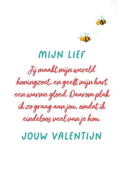 Valentijnskaart met grote beer met pot honing 3