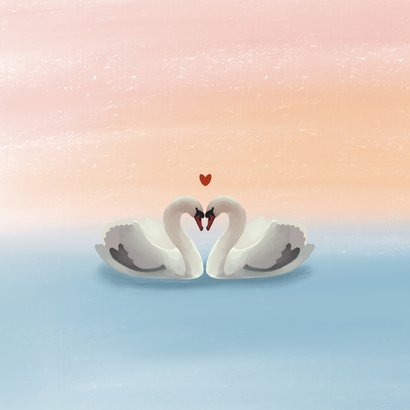 Valentijnskaart met illustratie van twee zwanen 2