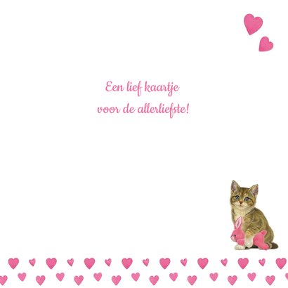 Valentijnskaart met kitten en hartjes 3