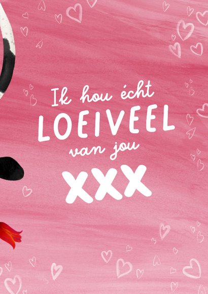 Valentijnskaart met koe en roos 3