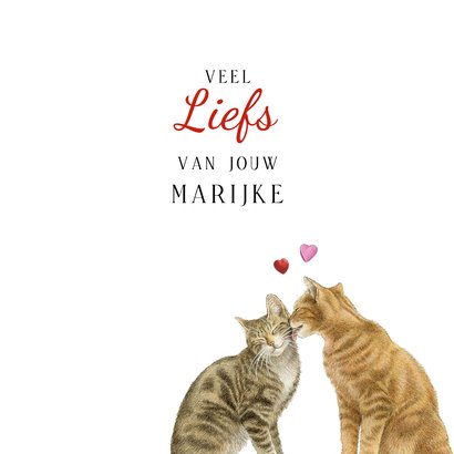 Valentijnskaart met twee lieve katten en hartjes 3