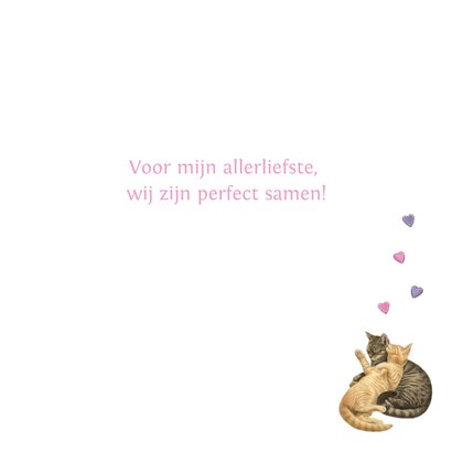 Valentijnskaart purrfect together 3