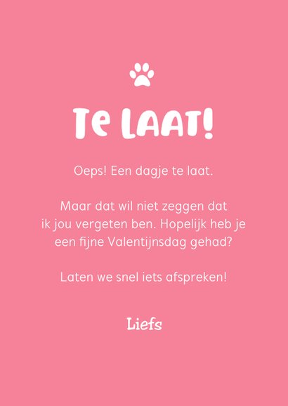 Valentijnskaart te laat poes kat oeps 3