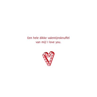 Valentijnskaartje met valentijnsknuffel en foto 3