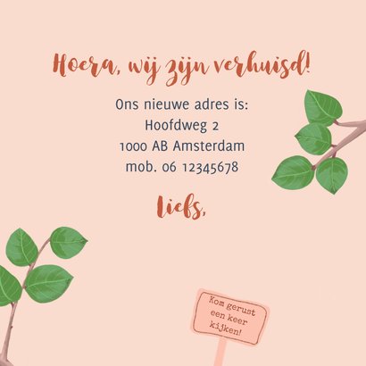 Verhuisbericht vogelhuisje met pimpelmeesje 3