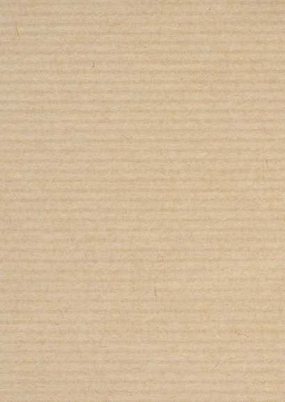 Verhuisbericht - wij gaan verhuizen foto 2