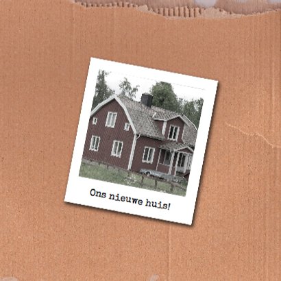 Verhuisdoos symbolen bruin 3