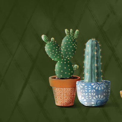 Verhuiskaart cactussen en succulent samenwonen 2