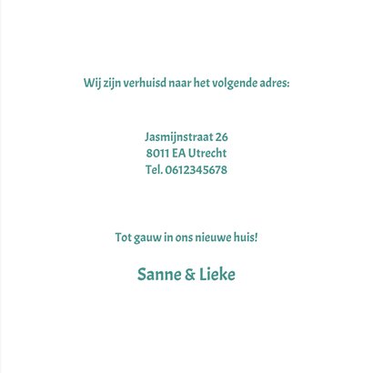 Verhuiskaart met grappig slakje 3