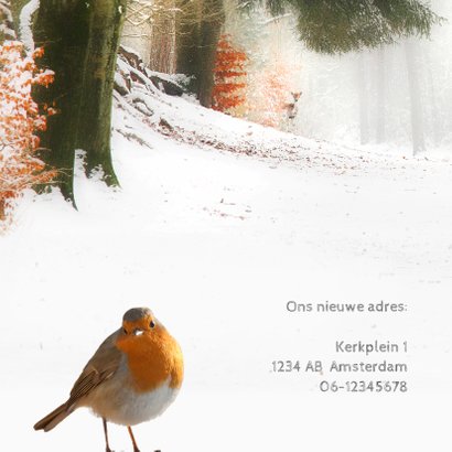 Verhuiskaart met kerstwens 2