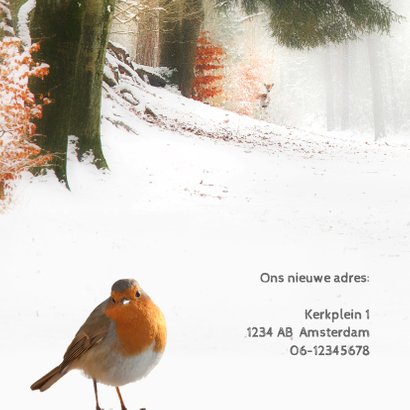 Verhuiskaart met kerstwens 2